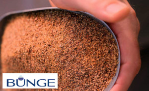 Bunge-canola-meal