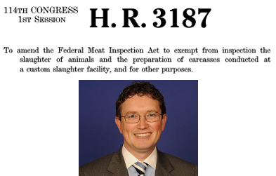 Rep. Thomas Massie, R-Ken.