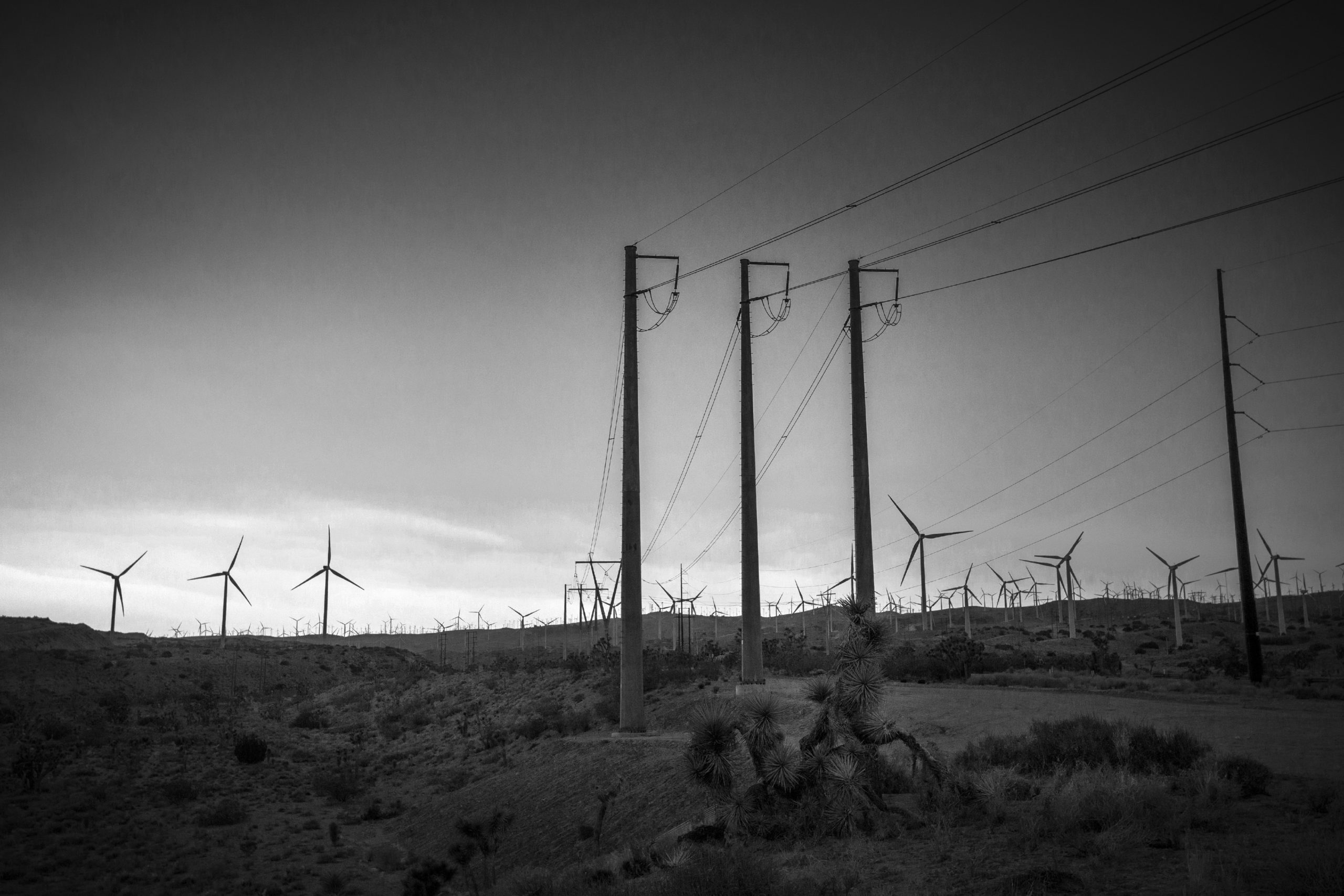 Tehachapi Pass Wind Farm