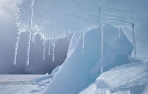Frigid