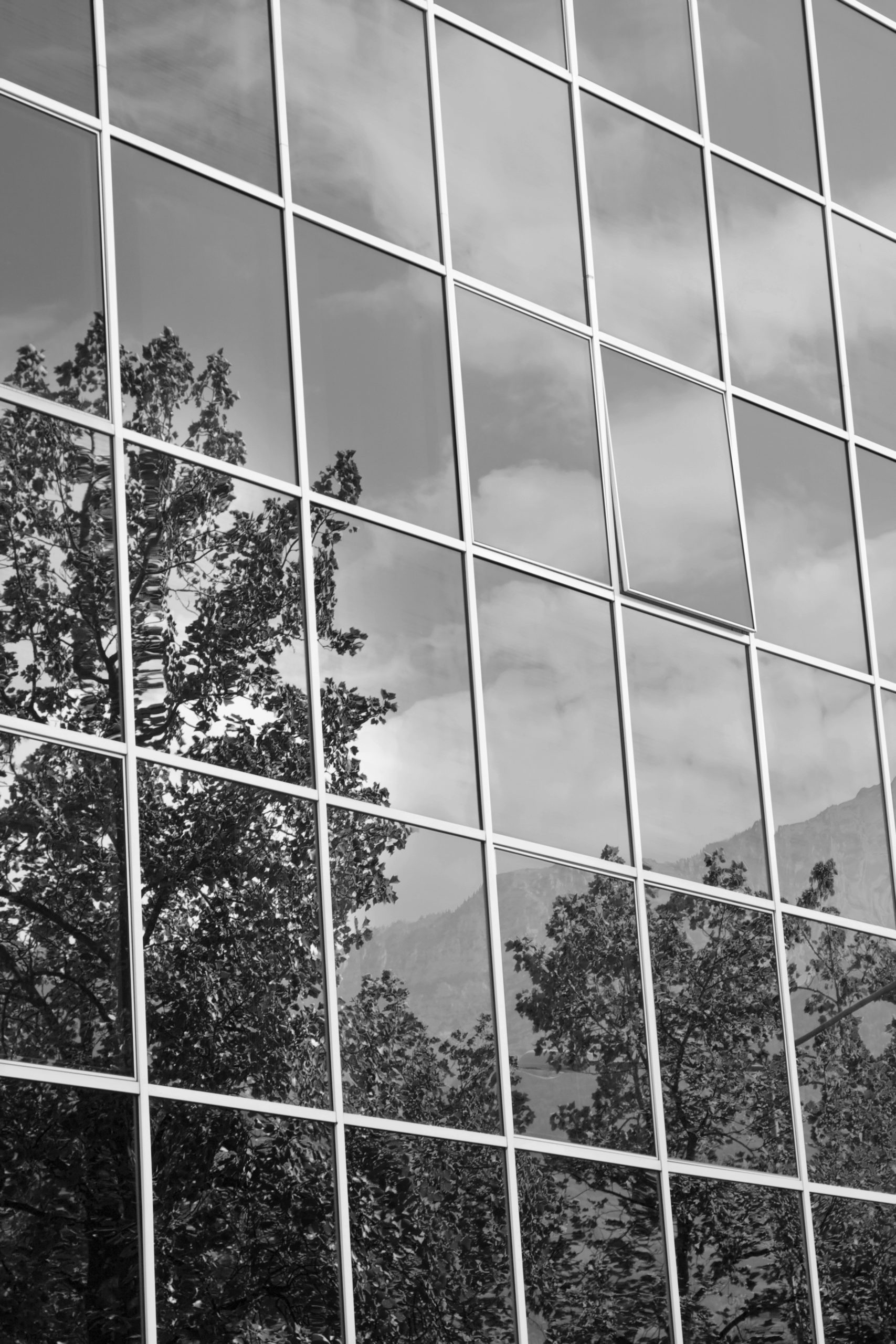 iStock_000005629500_Large_BW
