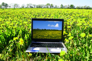 Computer in Grass-12458330