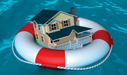 Flood Insurance. Programjpg