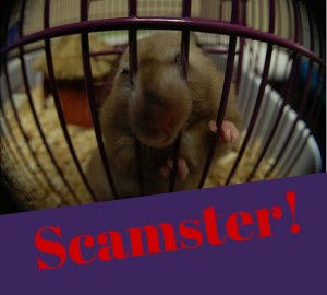 Scamster