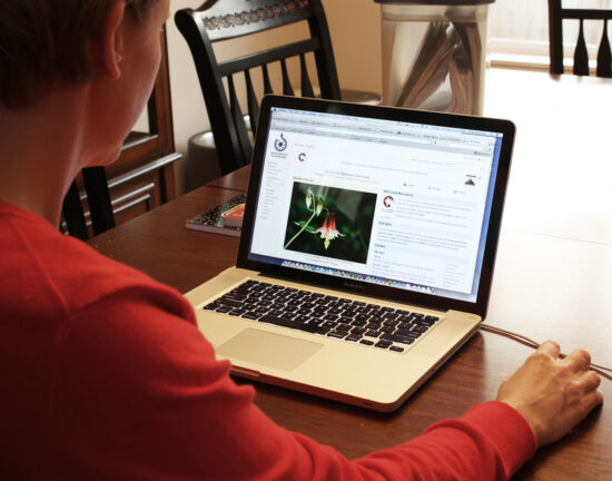 https-woodnicklawchildcustody-wordpress-com-wp-content-uploads-2016-03-woman_using_computer-jpgw373h293