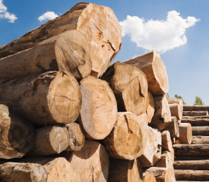 wood iStock_000017413587_Large