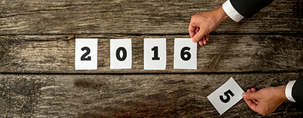 2015 and 2016 Year
