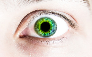 Eye