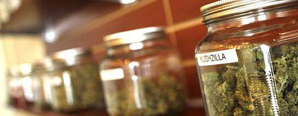 Medical Marijuana Dispensary