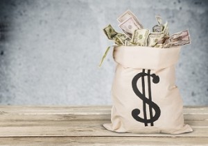 Money Bag 2