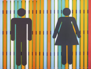 colorful restroom or toilet sign