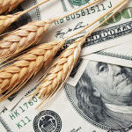 Small Rural Creditors