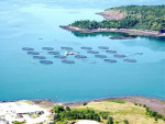 aquaculture