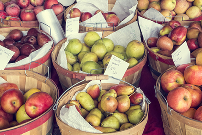 Oregon apples and pears