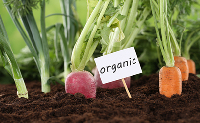 http://www.dreamstime.com/stock-photos-healthy-eating-organic-vegetables-garden-vegetarian-nature-image41849453