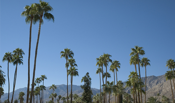 Palm Springs