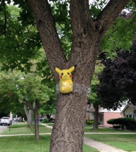 Pokemon