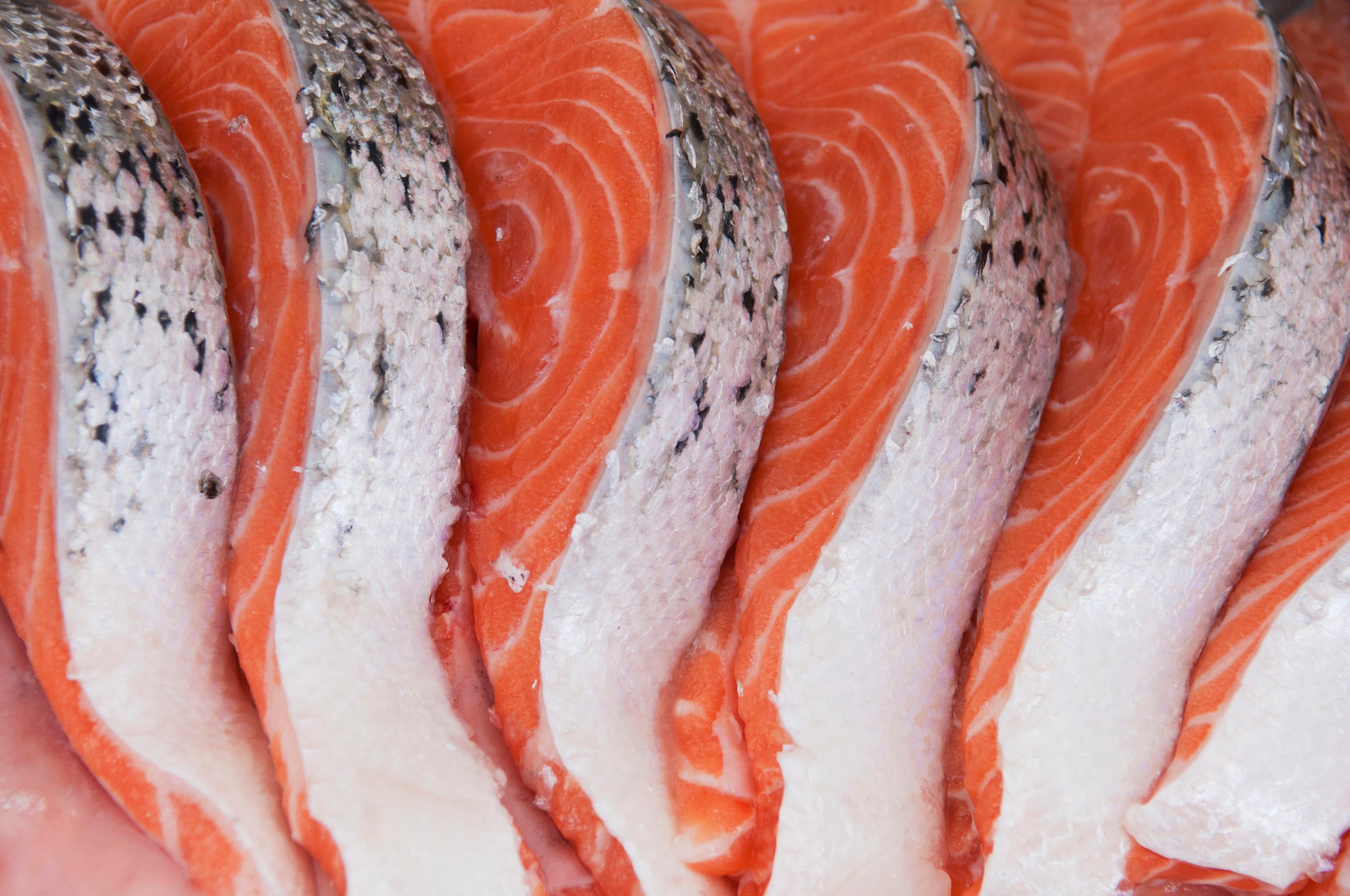 Fresh salmon slices