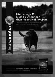 Eukanuba