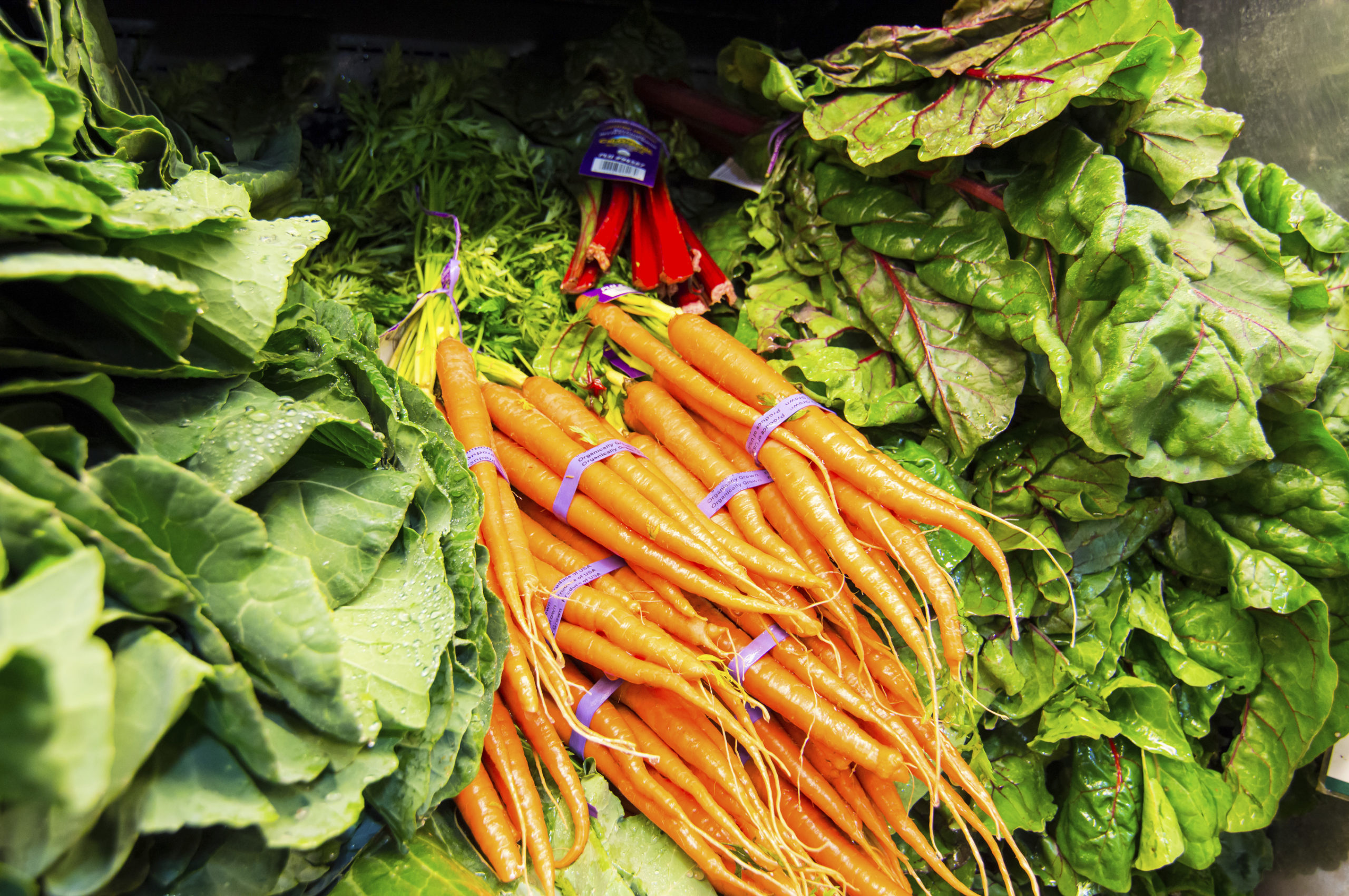 Display of fresh vegetables - Carrots, Lettuce, Greens