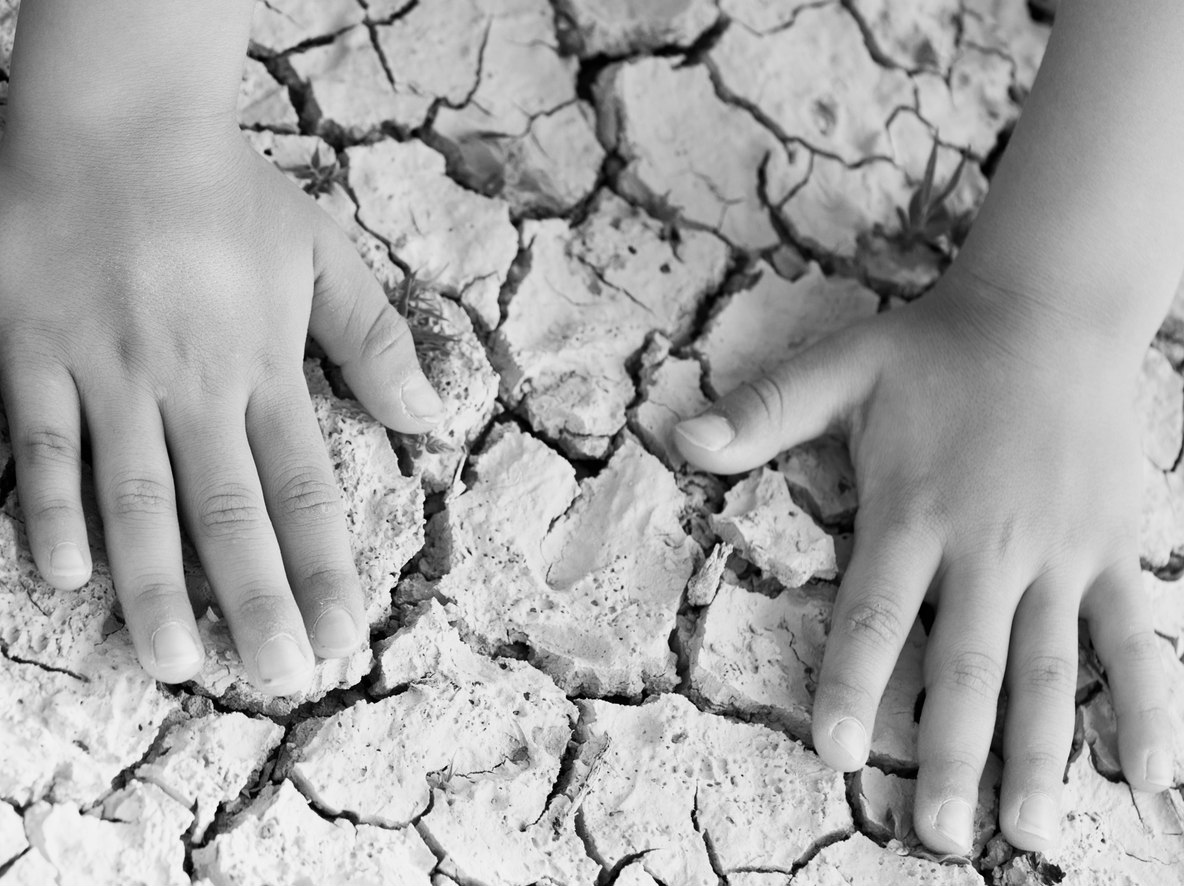 iStock-184602649_BW