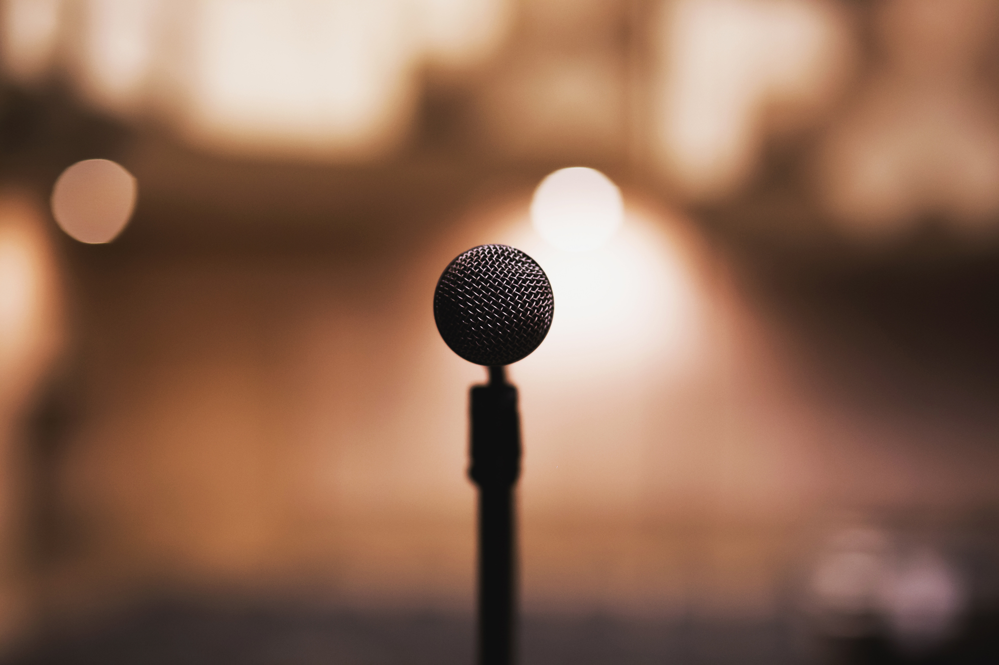small20microphone.jpg