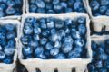 blue-1326154__340