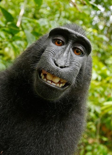 selfie