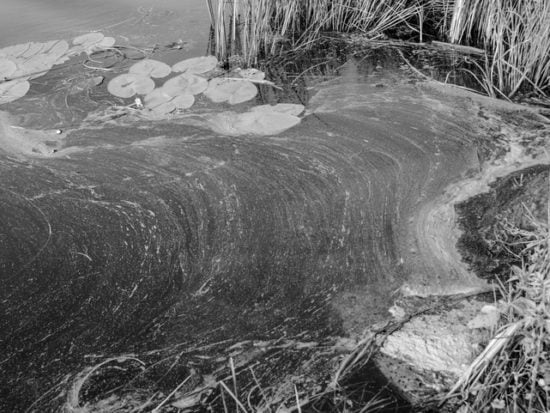 polluted river bank