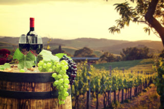Wine