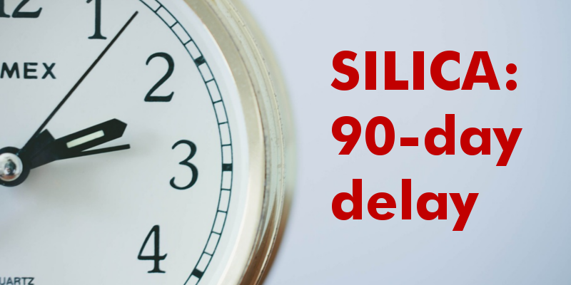 silicaruledelay