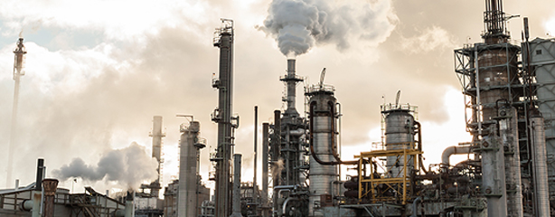 Petroleum Pollution