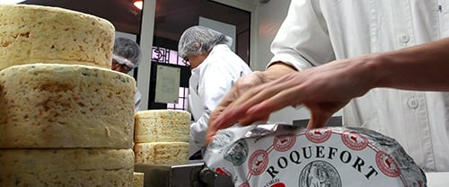 cheese