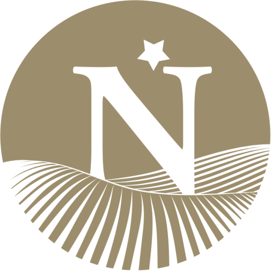 n-icon-brown