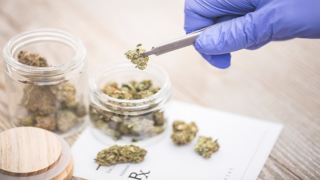 medical marijuana 2