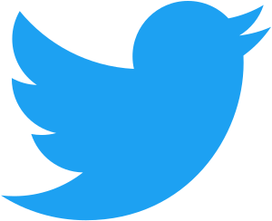 Twitter_bird_logo_2012_svg