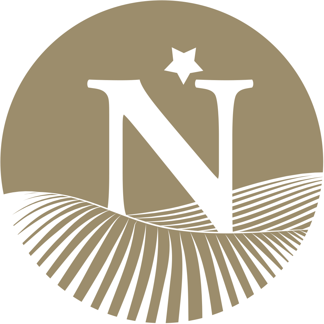 n-icon-brown