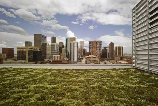 Green Roof at EPA Region 8 HQ