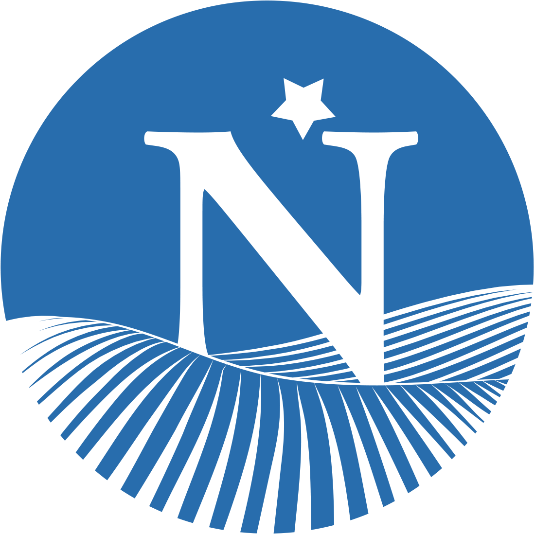 n-icon