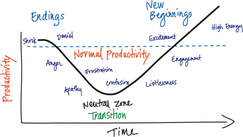 Image result for william bridges managing transitions