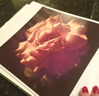 ReSnap Photo Book ReSnap Photo Book