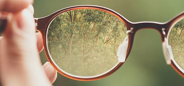glasses-in focus_bud-helisson-465328_BLOG