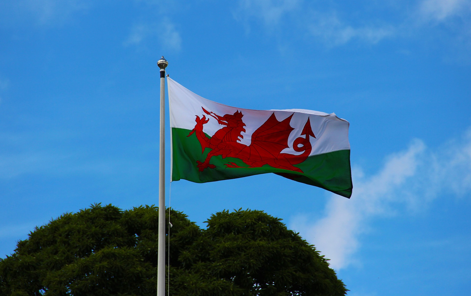 welsh-flag-2412265_1920