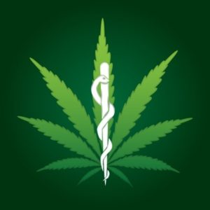 Illustration of Rod of Asclepius on marijuana leaf