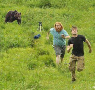 Bear Chasing Men