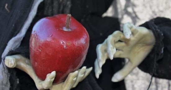 halloween-1784590_640.jpg