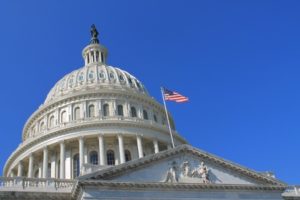 U.S. Capitol Building, Washington, D.C.