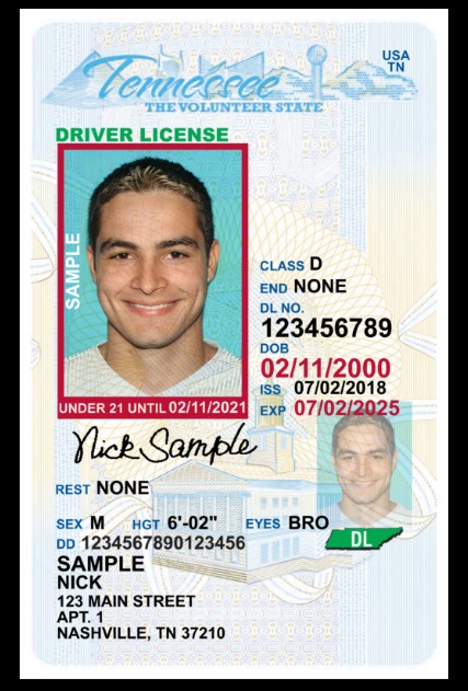 2018-07-10-08-43-05-Vertical20Driver20License20Example.jpg