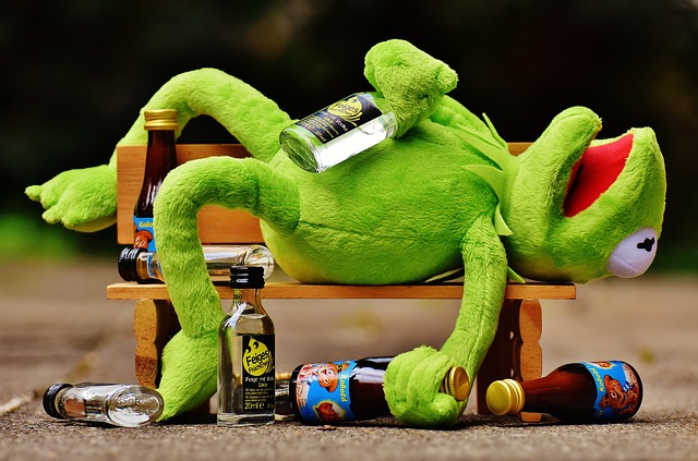 kermit-drunk-1-1.jpg