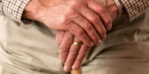 5B1808151514135Daged_cane_elder_33786.jpg